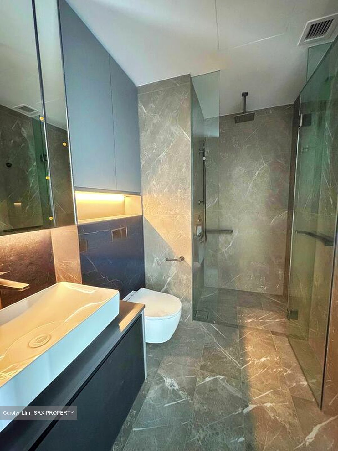 Irwell Hill Residences (D9), Apartment #589737501
